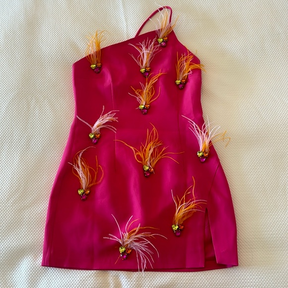 Feather Embellished Mini Dress - Picture 2 of 5